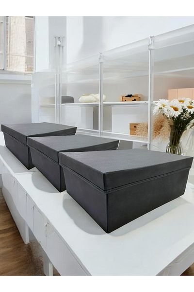 Balkan Room 3 Pieces Flip Lid Cabinet Organizer Box Multi-Purpose Storage Box Xxlarge 50X40X20 cm