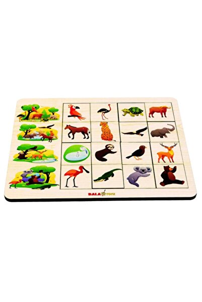 BALATOYZ Kodlamaya Giriş İlişkiler Doğa Puzzle