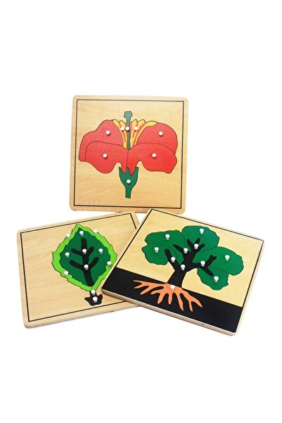 BALATOYZ Montessori Biyoloji Puzzle Set 18’li