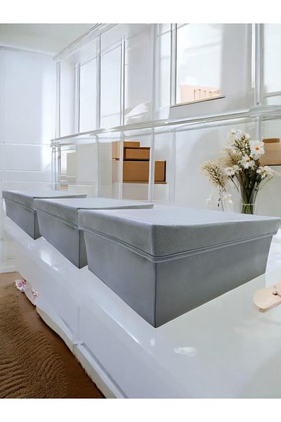 Balkan Room 3 Pieces Flip Lid Cabinet Organizer Box Multi-Purpose Storage Box Xxlarge 50X40X20 cm