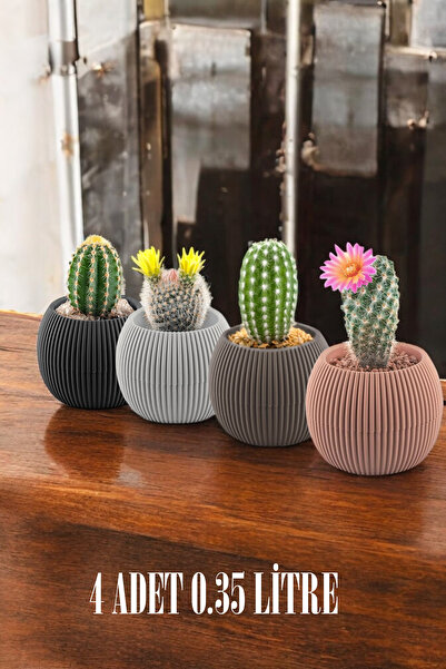 TEMMUZ HOME Karışık Renkli 4 Adet Sehpa Masa Üzeri Sukulent Kaktüs Ve Çiçekle...