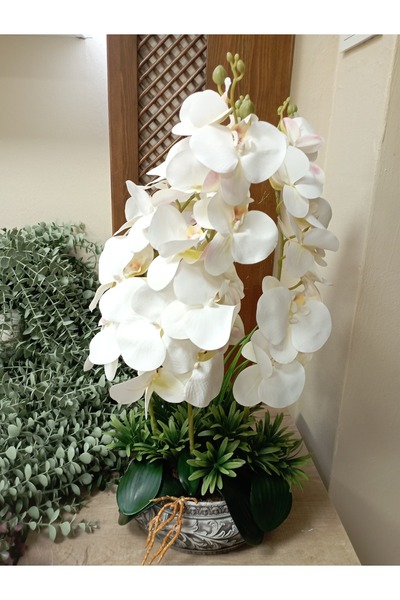 Cennet Home Dörtlü ıslak orkide aranjmanı antika desenli eskitme beton saksıd...