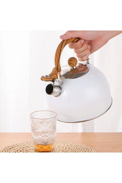 doremodam Stainless Steel Teapot - White Color