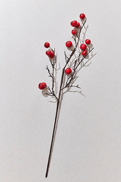 Paşabahçe Fruit 68 cm Kırmızı