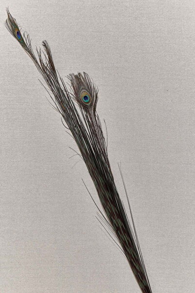 Paşabahçe Peacock 136 cm