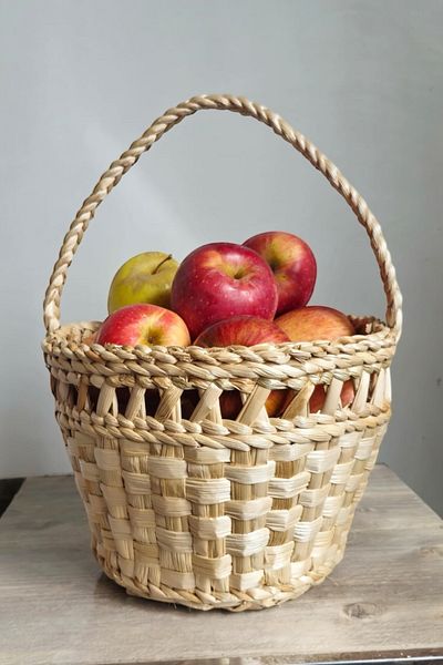 AFRALYAHOME Wicker Picnic Basket with Handles Round Wicker Basket Picnic Set Flower Pot Flower Holder Bohemian Organizer