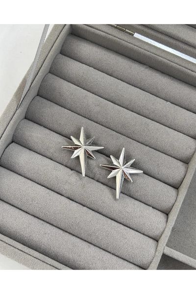 shop Pole Star Elegant Earrings