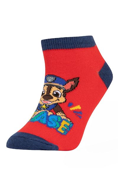 DeFacto Boy's Paw Patrol pamut 3 részes bakancs zokni T9980a6ns