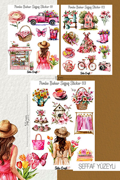 SelisCraft Pembe Bahar Temalı Şeffaf Sticker Seti 01-02-03 Ajanda Planlayıcı ...