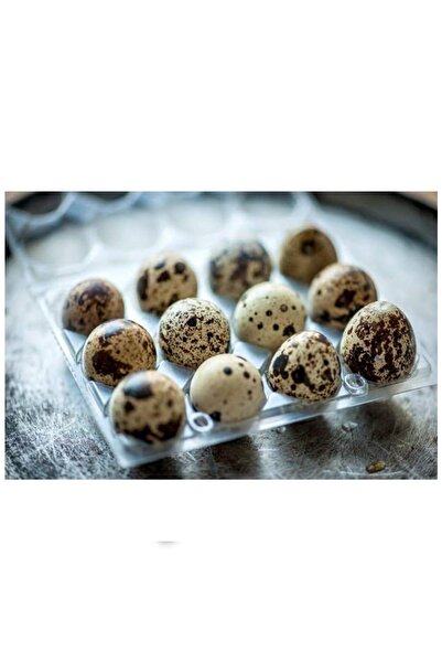 yöresel Bıldırcın Yumurtası