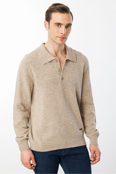 Desen Triko Ανδρικό μάλλινο πουλόβερ με γιακά Polo Basic Μπεζ