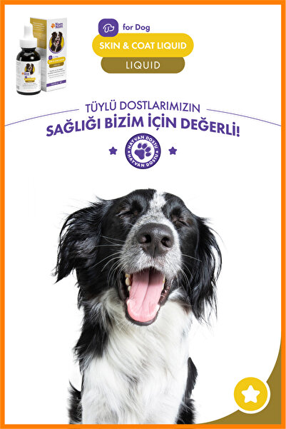 NomNom Köpek Skin & Coat Liquid 50 ml – Tüy Sağlığını Destekleyici Multivitamin Damla