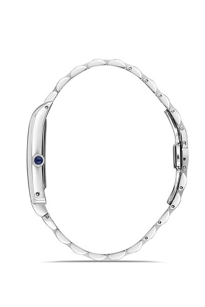 Momentus Cm365S-02Ss Men's Watch