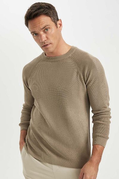 DeFacto Standard-Passform, normaler Schnitt, Fahrradkragen, Basic, einfarbig, Strickpullover A8458ax24wn