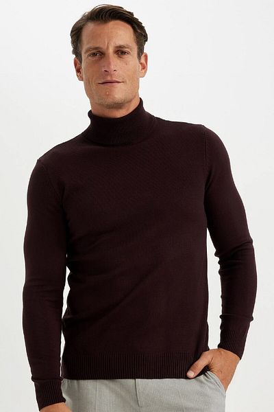 DeFacto Slim Fit Slim Fit Turtleneck Basic Plain Knitwear Sweater R1124Az