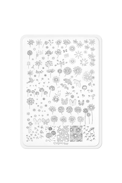 Cupio Cupio R07 stamp mold