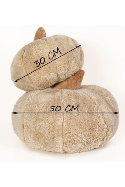 Pandamkee Paptex Decorative 2-Piece Plush Pumpkin Throw Pillow