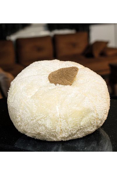 Pandamkee Decorative 50 Cm Plush Pumpkin Throw Pillow