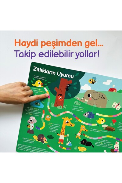 Sincap Kitap Genel Kültür Kitabım - Tanıyorum - Çağrı Odabaşı