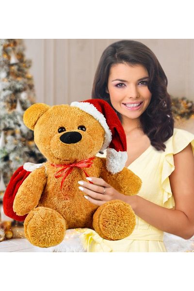 Pandamkee Pandanke 55 Cm Santa Claus Teddy Bear (100% Domestic)