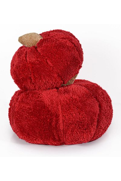 Pandamkee Decorative 2-Piece Plush Pumpkin Throw Pillow