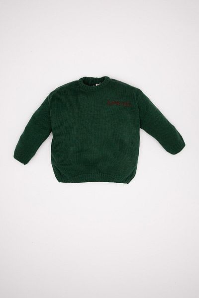 DeFacto Baby Boy Crew Neck Printed Knitwear Sweater C8868A524Wn