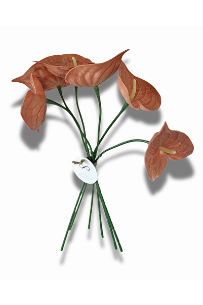 NilCan Flora Yapay Çiçek Islak Dokulu gül kurusu renkli Antoryum 6'lı Buket