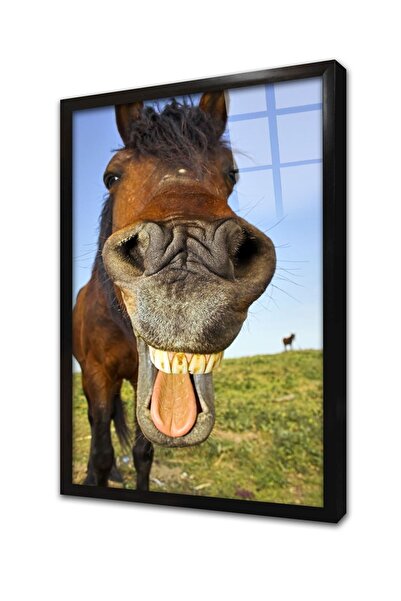 Tablosan Pictură pe sticlă în cadru de cal 20x30 cm