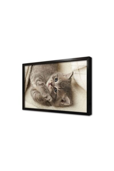 Tablosan pisică Pictură pe sticlă înrămată cu cadru 30x40 Cm