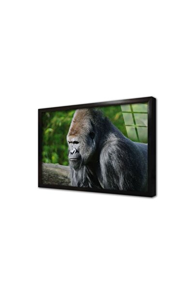 Tablosan Tablou din sticlă înrămată cu orangutan 20x30 Cm