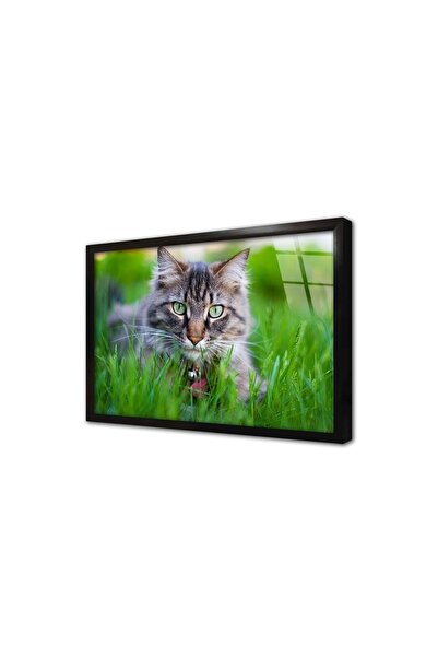 Tablosan pisică Tabla din sticla cu rama 20x30 Cm