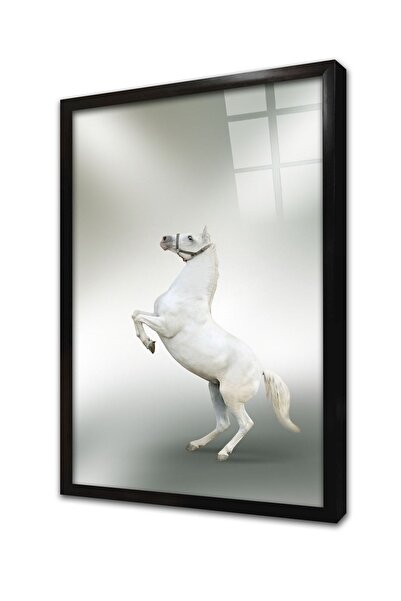 Tablosan Pictură pe sticlă înrămată cu cal în picioare, 20x30 cm