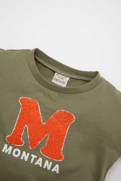 DeFacto Baby Boy Crew Neck Printed Short Sleeve T-Shirt C9359A524Sm