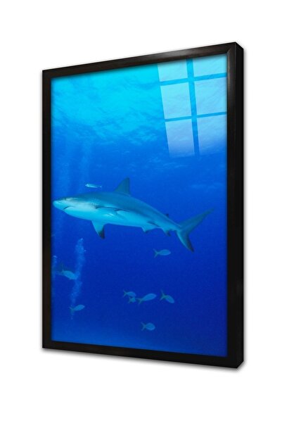 Tablosan Tablou din sticlă înrămată cu rechin 20x30 cm