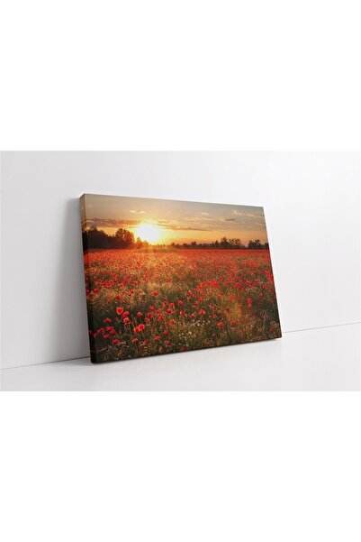 Tablosan Платно с червена лале и залез