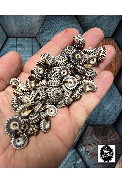 Flea Market Gerçek Deniz Kabuğu - SUBURBIA - 30gr. ( Ort. 50-60 Adet )