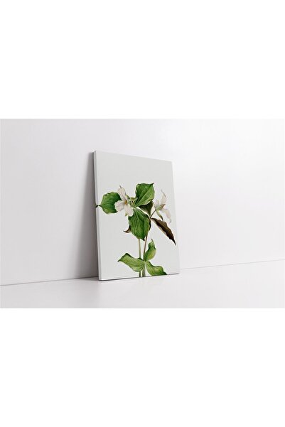 Tablosan Pictură pe pânză cu flori albe verzi