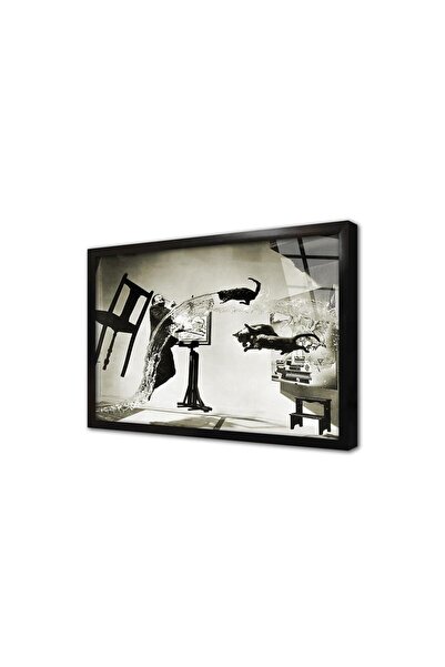 Tablosan Pictură pe sticlă înrămată Dali Atomicus Philippe Halsman