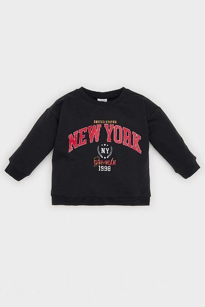 DeFacto Baby Boy Crew Neck Printed Soft Furry Inside Sweatshirt D1264A524Wn
