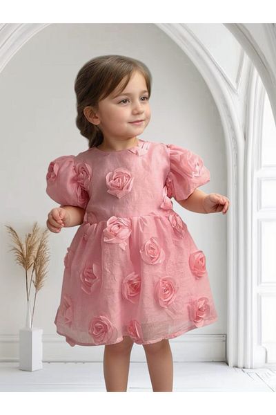 morwind Girl's Dress Rose Bow Detailed Birthday Special Occasion Dress