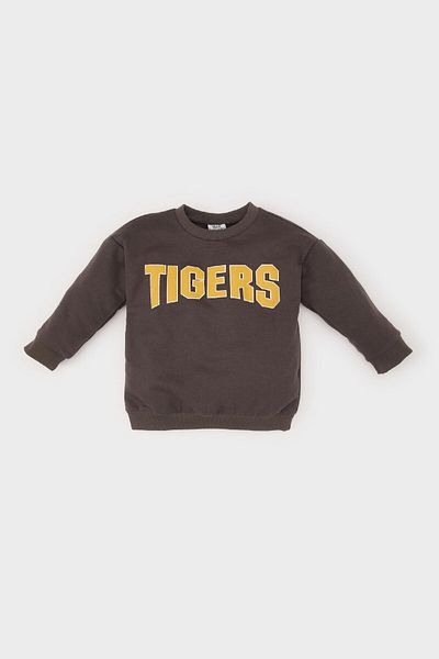 DeFacto Baby Boy Crew Neck Printed Soft Feather Inside Sweatshirt D0710A524Wn