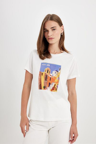 DeFacto Crew Neck Printed Regular Fit T-Shirt D1929AX24SM