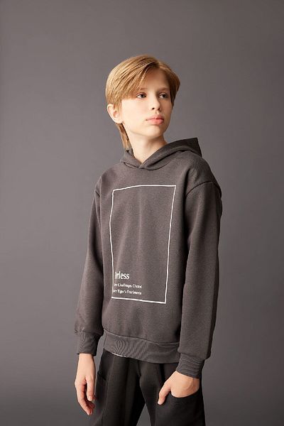 DeFacto Boy's Anthracite Hooded Printed Thick Sweatshirt D3095A824Au