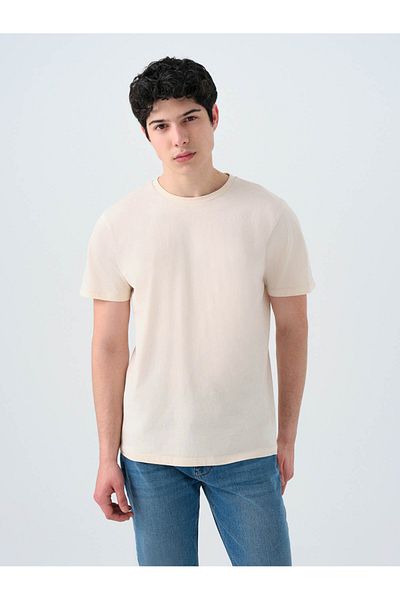 Loft Regular Fit Stone Men's T-Shirt Lf 2029278