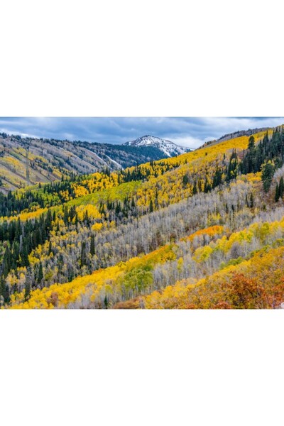 Zumzeria Tablou Canvas Aspwn Valley σε φωτεινά πορτοκαλί χρώματα, 80x50cm, ta...