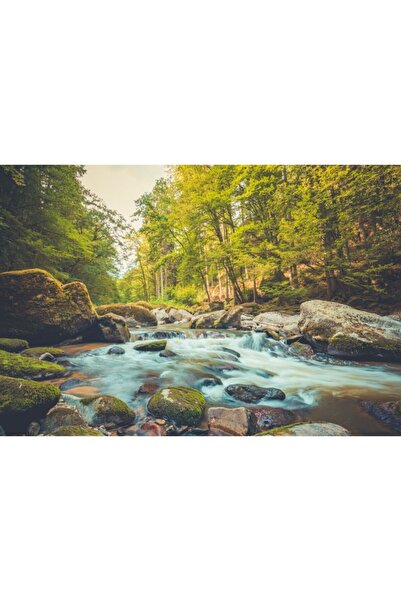 Zumzeria Tablou Canvas Beautiful Stream Forest Water, 80x50cm, tabloucanvas155, ®