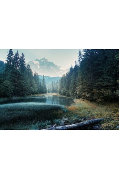 Zumzeria Tablou Canvas Fabulous Misty Morning In The Mountains, 80x50εκ., tab...