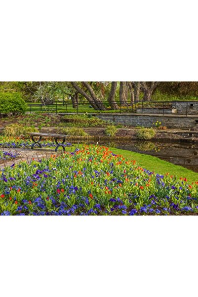 Zumzeria Tablou Canvas View From The Park With Beautiful Flora, 80x50cm, tabl...