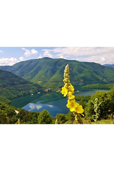 Zumzeria Καμβάς Tablou Όμορφο Καλοκαίρι Πάνω από τα Βουνά, 80x50εκ., tablouca...