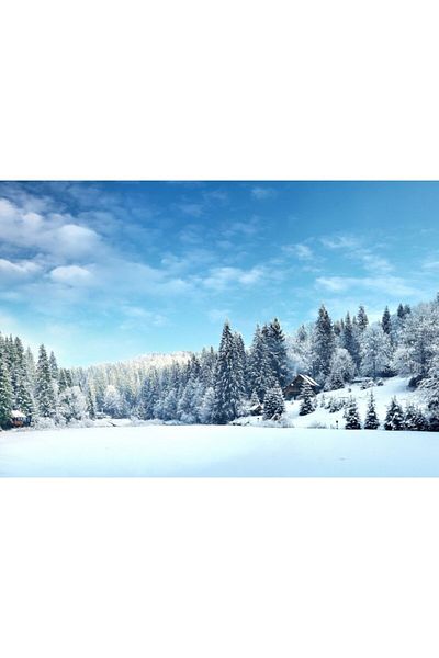 Zumzeria Tablou Canvas Snowy Trees In Winter, 80x50cm, tabloucanvas862, Zumzeria ®